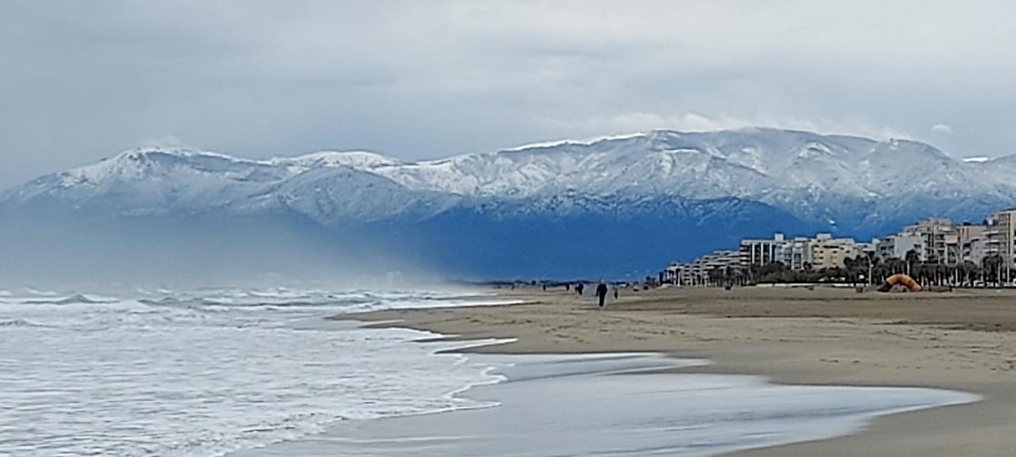 Chambres D'Hotes Un Ete Sans Fin A 50 M De La Plage A Canet Plage 外观 照片